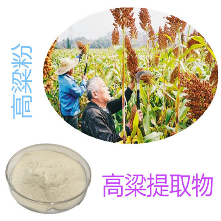 斯諾特生物 深耕植物提取物研發(fā)，以高粱提取物為核心打造健康產(chǎn)品矩陣